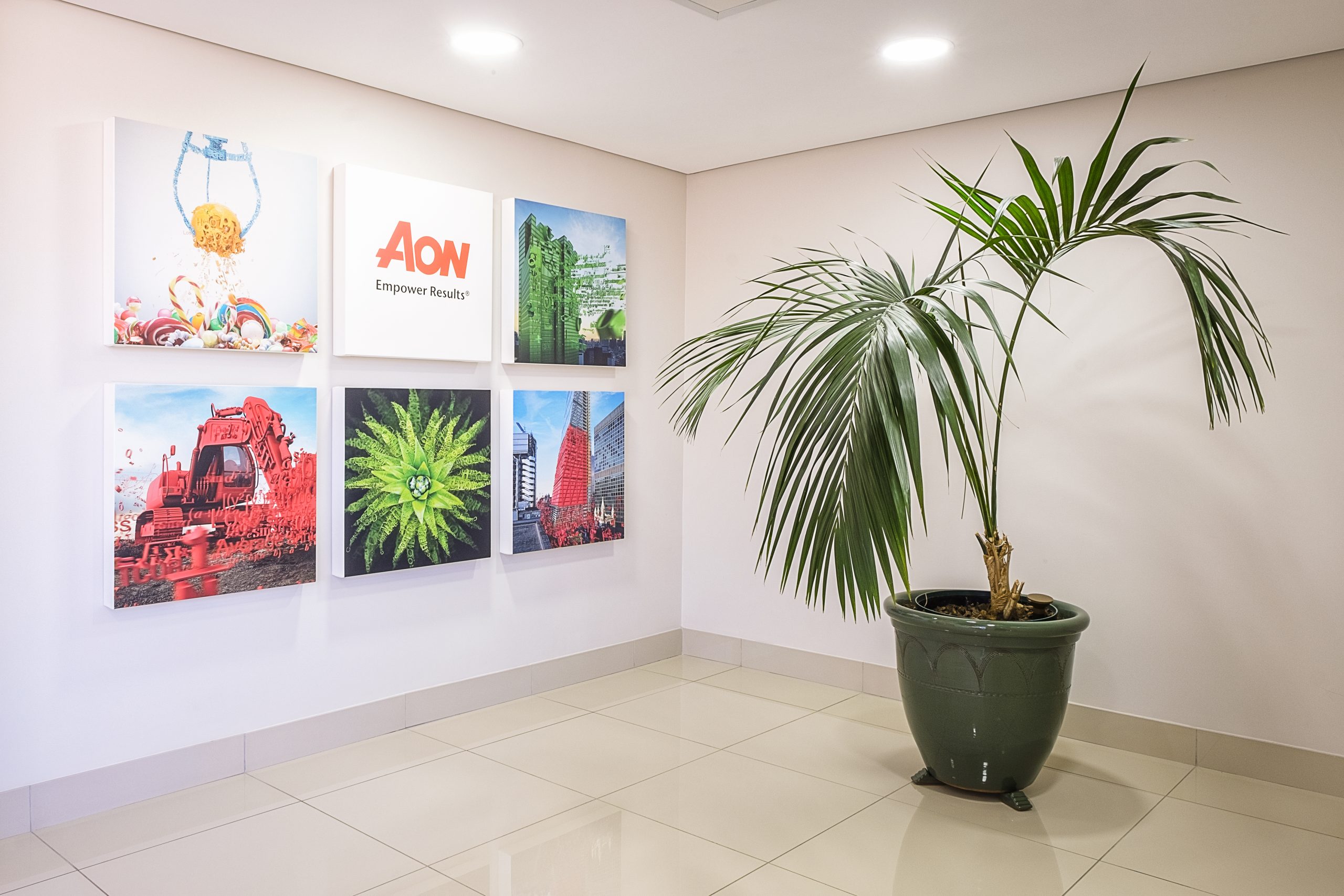 AON Project (2)