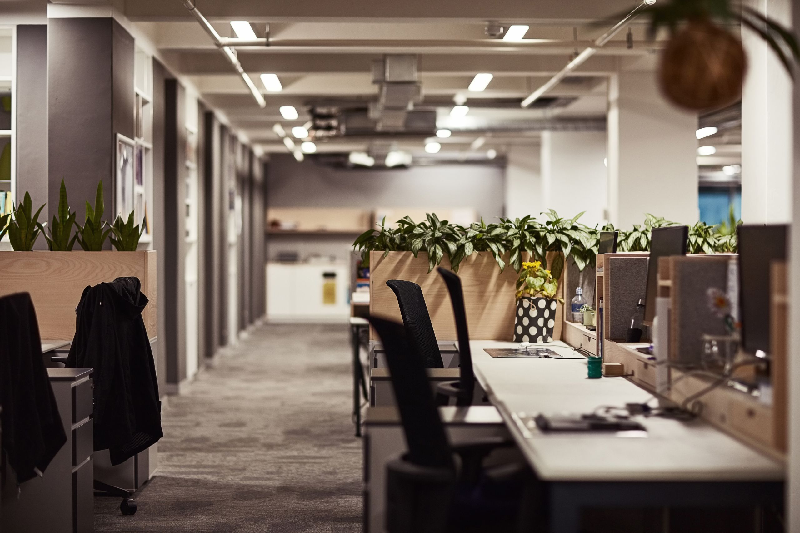 Buying office furniture before your layout is planned often leads to wasted spend and rework. Learn why workplace strategy should come first, from Tridyum.
