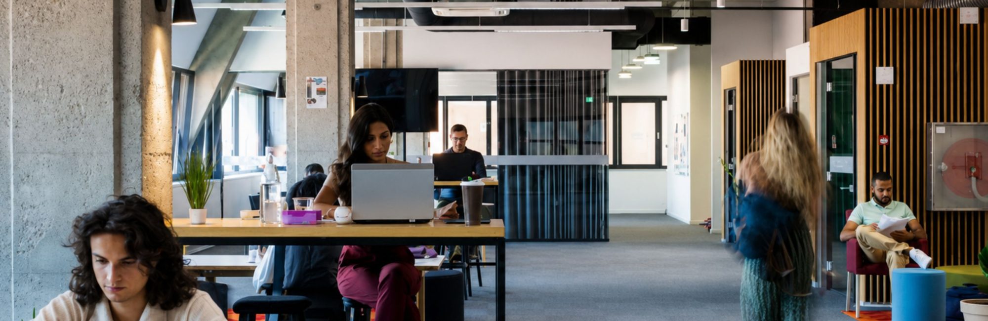 Why Empty Space Isn't Always Wasted Space in Modern Offices