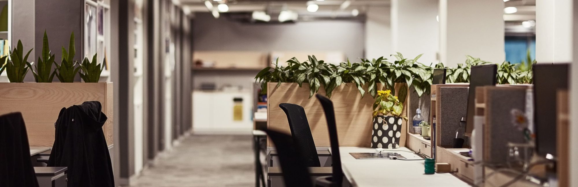 Buying office furniture before your layout is planned often leads to wasted spend and rework. Learn why workplace strategy should come first, from Tridyum.