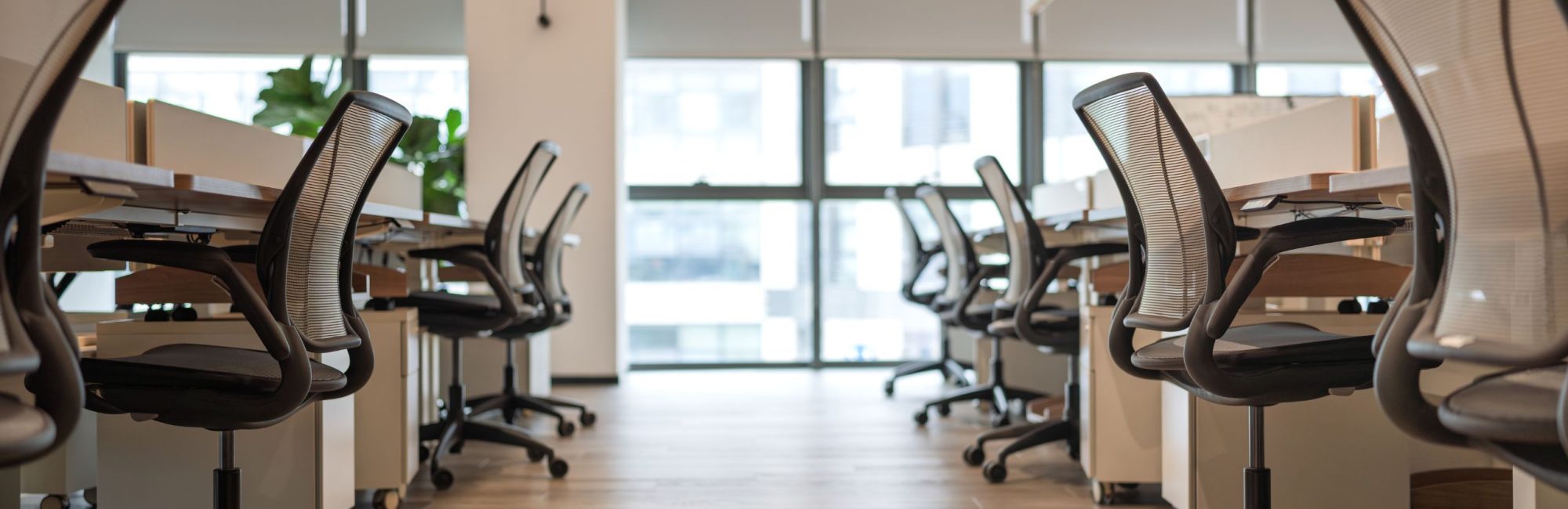 The Future of Office Furniture
