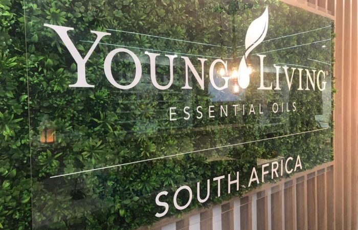 Young Living (7)